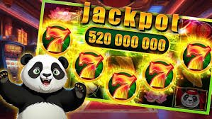 611 bet app